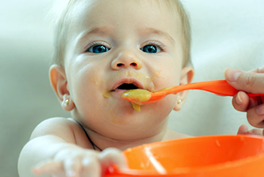 Von der Milch zum Brei